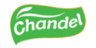 Customer Logo 2